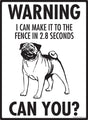 Warning! Pug Make it to the Fence